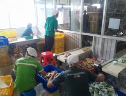 DPR Ajak Media Kunjungi Pabrik Pengolah Susu Siap Konsumsi di Pangalengan