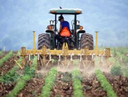 Kementan Kembali Bakal Kirim Petani Muda Indonesia ke Taiwan