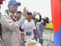 Menteri Andi Amran Ingatkan Tidak Menzalimi Petani, Karena Pemerintah Melindunginya