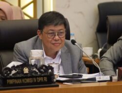 Waka Komisi IV DPR Minta Kementan dan Bulog Jawab Kekhawatiran Petani Jelang Panen Raya