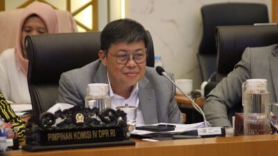 Stok Melimpah, Wakil Ketua Komisi IV DPR RI Desak Pemerintah Susun Peta Jalan Ekspor Beras