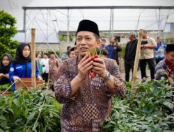 Wamenkop: Kopdes Merah Putih Bakal Berfungsi Jadi Offtaker Hasil Produk Masyarakat Desa