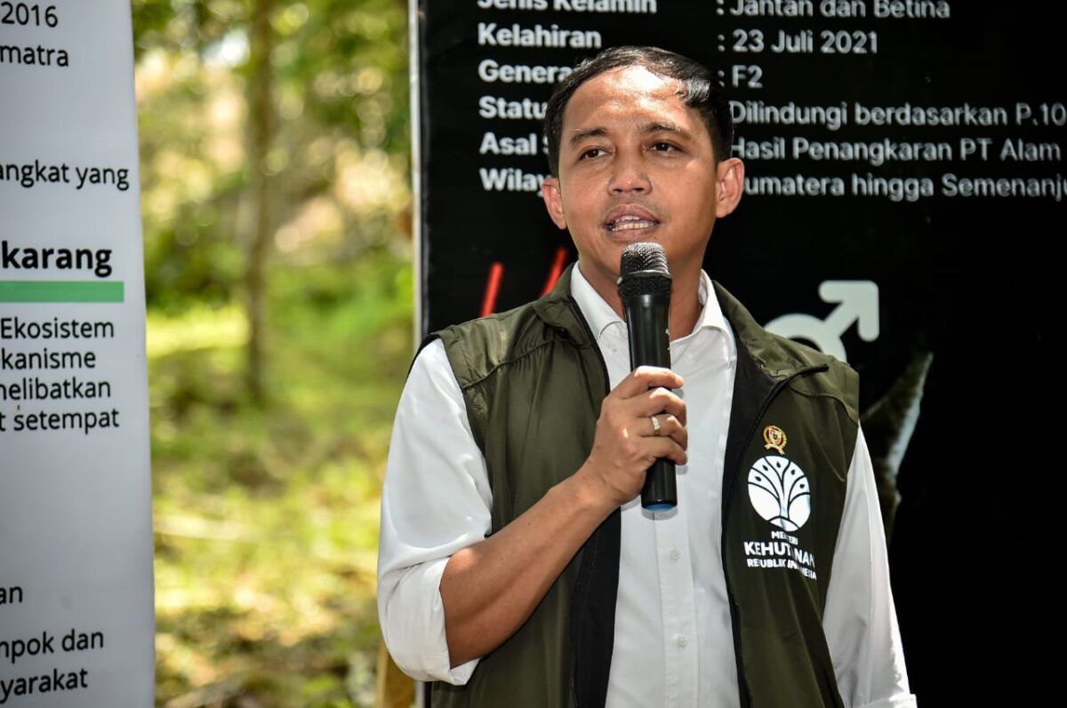 Soal Penemuan Ladang Ganja di Bromo, DPR Bakal Panggil Raja Juli