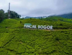 Okupansi Kamar Hotel Sepi, Bupati Bogor Ajak Masyarakat Berwisata ke Puncak