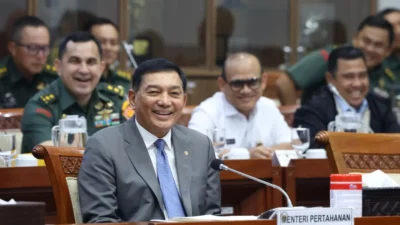 Menhan Nilai Bendera One Piece Tak Boleh Berkibar di Bawah Merah Putih