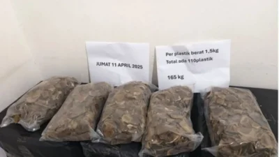 Kemenhut Gagalkan Perdagangan 12,27 Kg Sisik Trenggiling di Kalsel