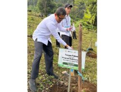Hijaukan Kawasan Puncak Bogor, BAKN DPR Gelar Tanam Sejuta Pohon