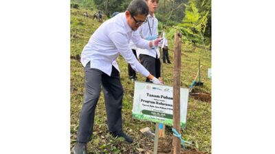 Hijaukan Kawasan Puncak Bogor, BAKN DPR Gelar Tanam Sejuta Pohon