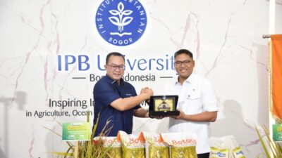 Wamentan Sudaryono dan Rektor IPB Luncurkan Benih Paten! Produktivitas Capai 12 Ton Per Hektar