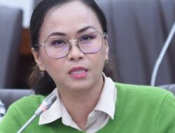 Fraksi Demokrat Buka Suara Soal Polemik Pertambangan di Raja Ampat