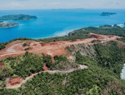Komnas HAM Minta Pemerintah Perhatikan Dampak Sosial AKibat Tambang Nikel Raja Ampat