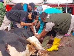 Kemenag Bantah Menag Nasaruddin Umar Larang Sembelih Hewan Kurban