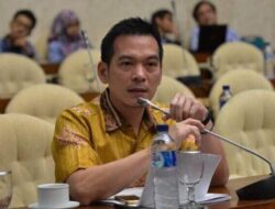 Daniel Johan: Penertiban Hutan Bukti Keseriusan Negara