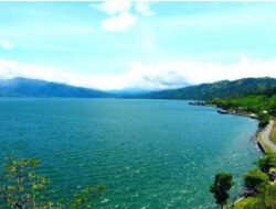 Ikan Bilih Endemik Danau Singkarak Terancam Punah Akibat Sampah dan Penangkapan Tak Terkendali