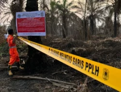 Langkah Tegas Atasi Karhutla di Riau, KLH Segel Empat Perusahaan dan Satu Pabrik Kelapa Sawit