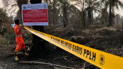 Langkah Tegas Atasi Karhutla di Riau, KLH Segel Empat Perusahaan dan Satu Pabrik Kelapa Sawit