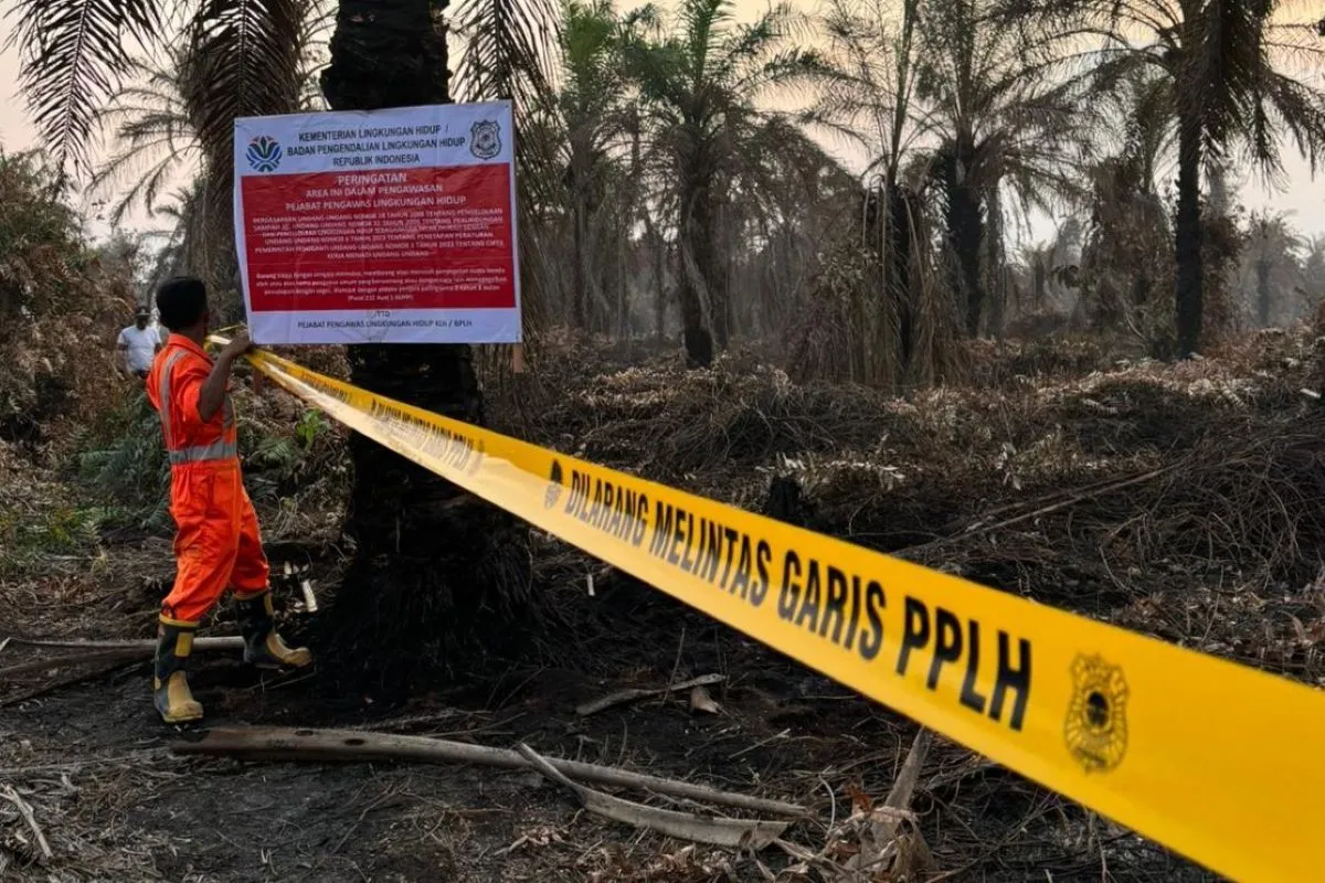 Langkah Tegas Atasi Karhutla di Riau, KLH Segel Empat Perusahaan dan Satu Pabrik Kelapa Sawit