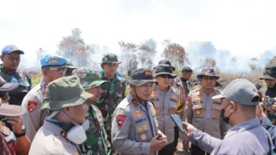 Polda Riau selidiki kebakaran lahan 100 hektare di Rokan Hilir