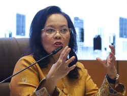 Rosdiana Sijabat: BUMN Jalankan Peran Ganda, Dorong Pertumbuhan dan Layanan Publik