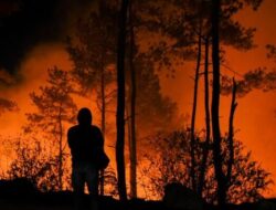 Seorang Perempuan Tewas di Rumahnya Akibat Kebakaran Hutan di Aude