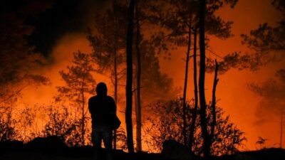 Presiden Tak Beri Toleransi pada Korporasi yang Buka Lahan dengan Cara Membakar