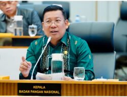 Bapanas Siapkan 52,4 ribu Ton Jagung SPHP untuk Bantu Peternak Ayam Petelur