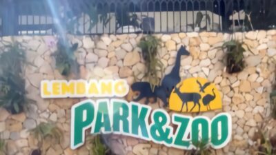 Gara-gara Macan Tutul Lepas, Lembang Park and Zoo Bandung Ditutup Sementara