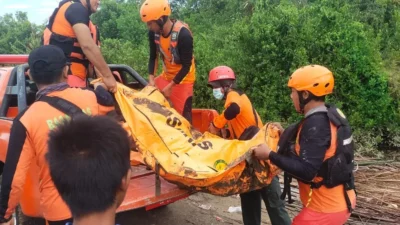 SAR Timika Pastikan Semua Penumpang Heli Intan Angkasa Tewas