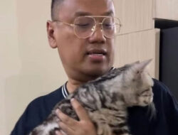 Polisi Segera Kembalikan Dua Kucing Uya Kuya yang Dijarah