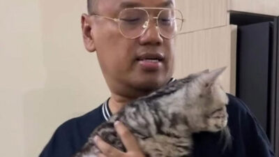 Polisi Segera Kembalikan Dua Kucing Uya Kuya yang Dijarah
