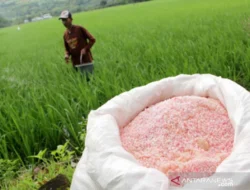 DPR: Sistem Baru Pupuk Subsidi Jadi Fondasi Swasembada Pangan 2027