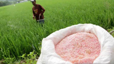 Dalam Tiga Tahun Mendatang Papua Swasembada Pangan