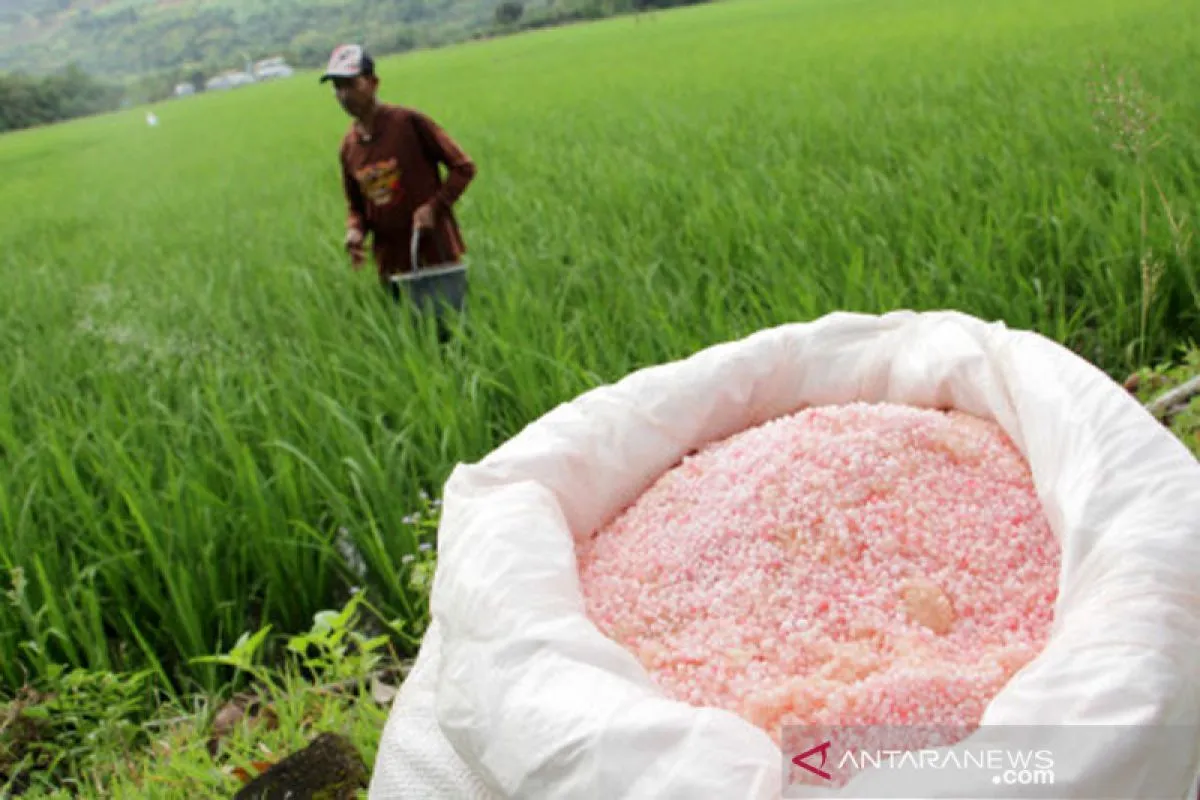 Dalam Tiga Tahun Mendatang Papua Swasembada Pangan