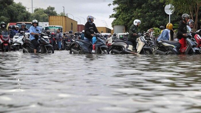 Jati Padang