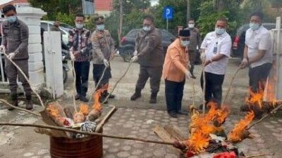 Kejari Paluta Musnahkan Barang Bukti Narkoba dan Judi