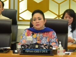 Titiek Soeharto Semprot Menhut soal Kayu Gelondongan Pascabanjir