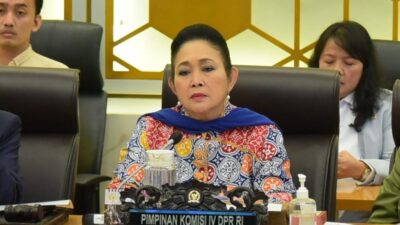Titiek Soeharto Semprot Menhut soal Kayu Gelondongan Pascabanjir