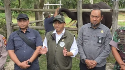 Menhut Fokus Restorasi 31 Ribu Ha Tesso Nilo