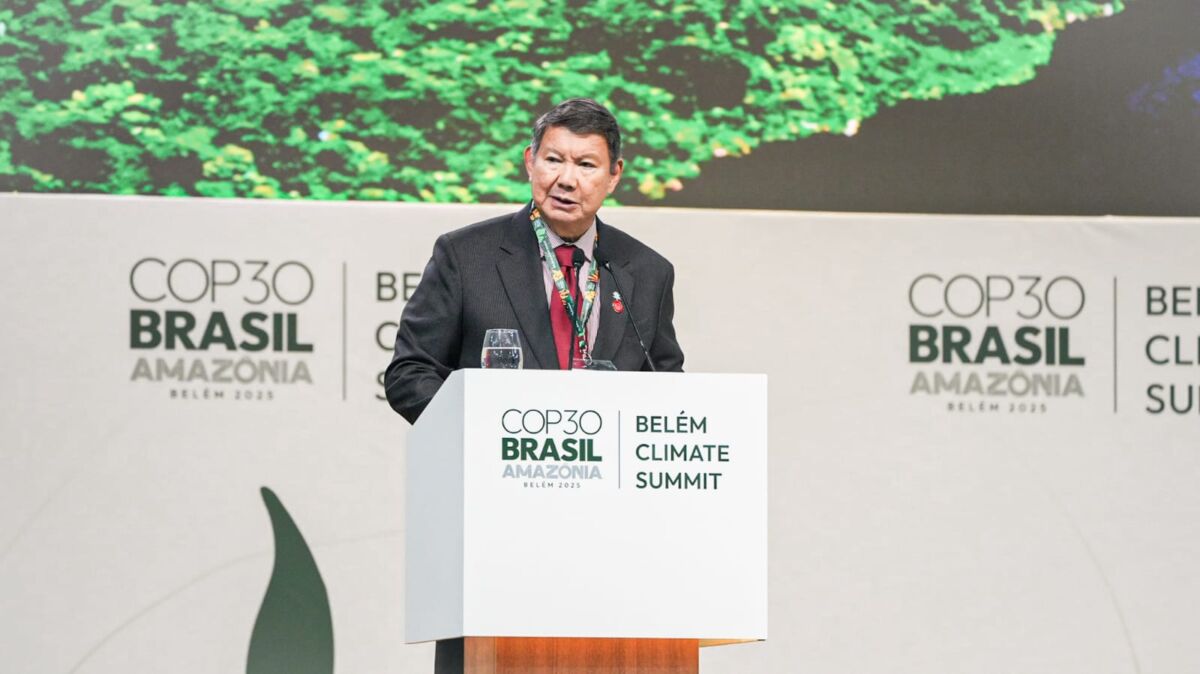 Janji Hijau Indonesia di COP30, Realita Masih Abu-Abu