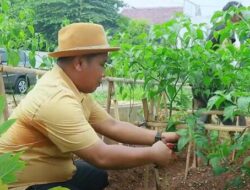 Narji Cagur Tegaskan Tetap Aktif di Dunia Hiburan, Bertani Demi Lestarikan Warisan Keluarga
