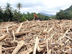 KLH Tinjau Ulang Izin 8 Perusahaan di Aceh-Sumut-Sumbar