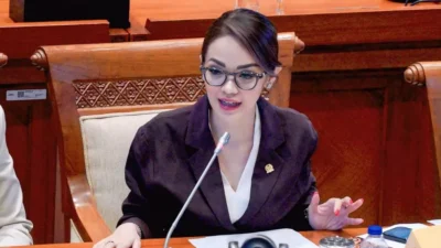 Andina Narang: Aplikasi Digital Harus Patuh Hukum RI