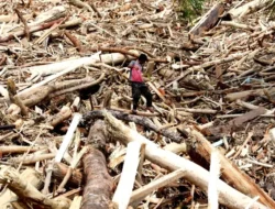 BNPB: 969 Orang Tewas, 252 Masih Hilang di Banjir Sumatra