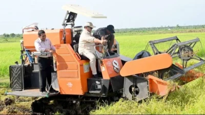 Presiden Prabowo Hadiri Panen Raya di Karawang, Tegaskan Target Swasembada Pangan