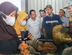 Menteri LH Dorong Pemilahan Sampah untuk Atasi Krisis Limbah Perkotaan