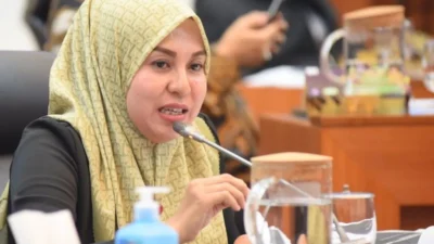 Anggota DPR: Pokja Bisa Percepat Pemulihan Pascabencana di Sumatera