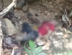 Geger di Paluta, Mayat Misterius Ditemukan di Hutan Nabundong