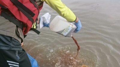 Atasi Pencemaran, Pemkot Tangerang Tuang 1.500 Liter Ekoenzim ke Cisadane