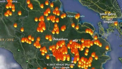 Deteksi 113 Titik Panas di Riau, BMKG Ingatkan Waspada Karhutla