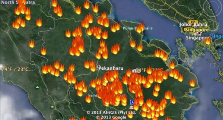 Deteksi 113 Titik Panas di Riau, BMKG Ingatkan Waspada Karhutla